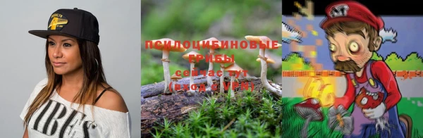 кокс Алзамай