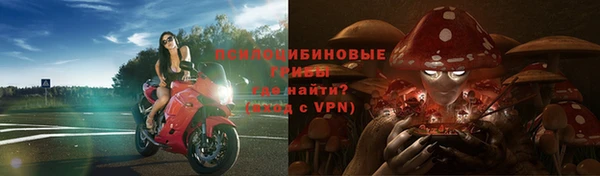 мескалин Алексин