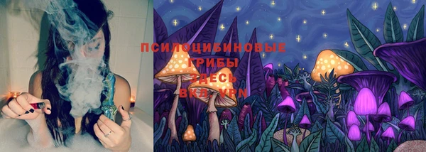 кокс Алзамай
